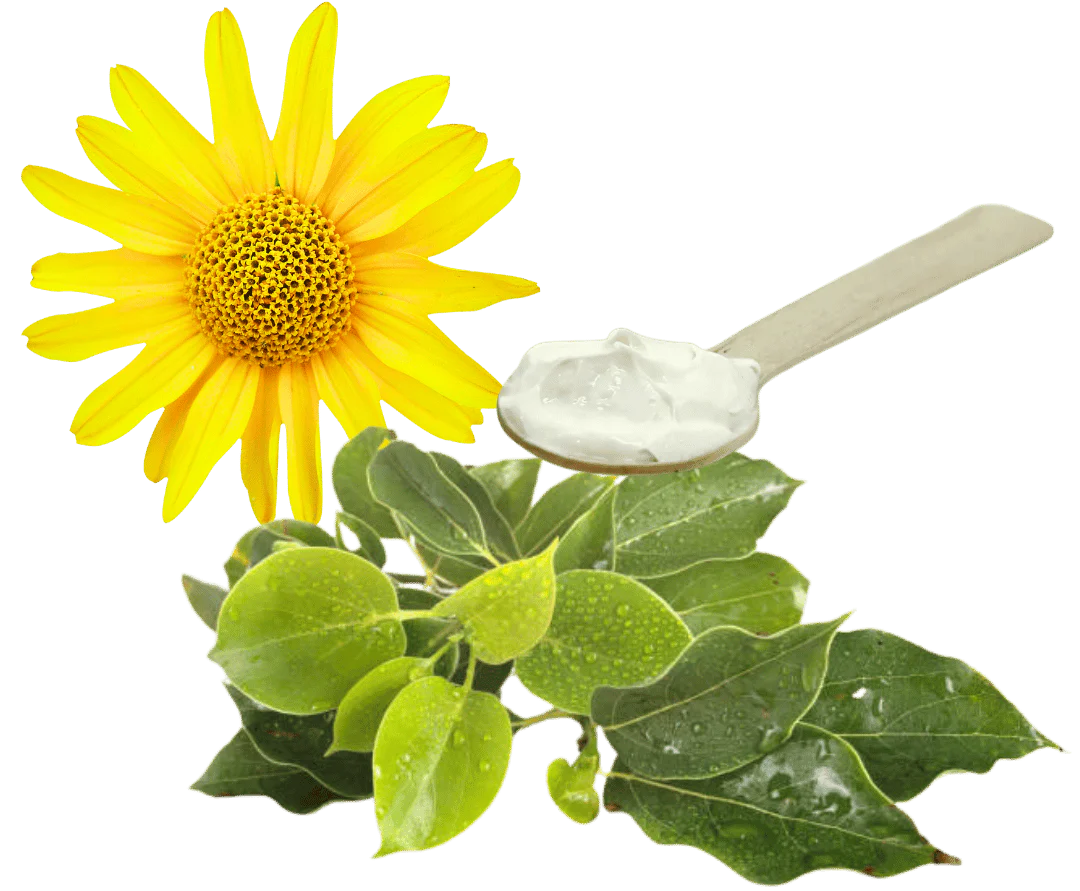 Organic 3X Formula Ingredients